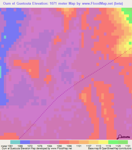 Oum el Guetouta,Algeria Elevation Map