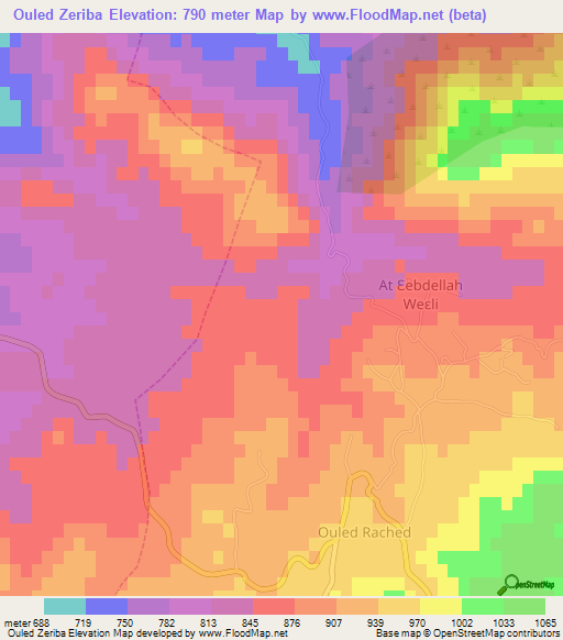 Ouled Zeriba,Algeria Elevation Map
