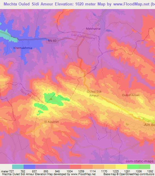 Mechta Ouled Sidi Ameur,Algeria Elevation Map