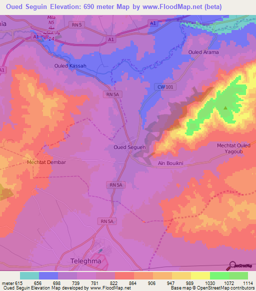 Oued Seguin,Algeria Elevation Map