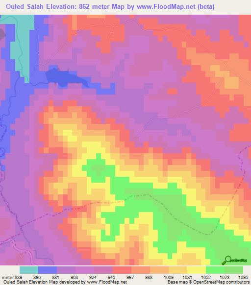 Ouled Salah,Algeria Elevation Map