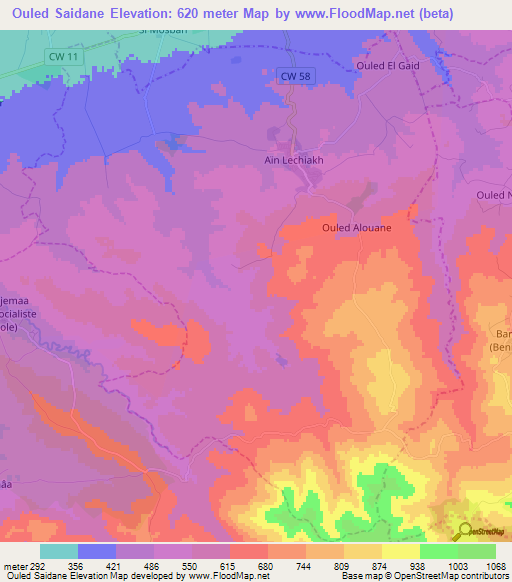 Ouled Saidane,Algeria Elevation Map