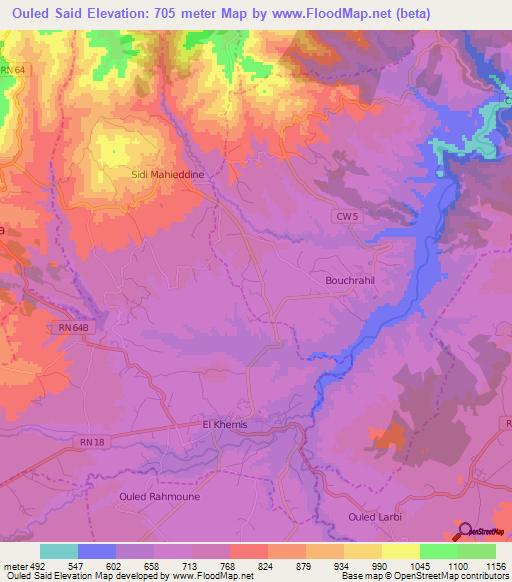 Ouled Said,Algeria Elevation Map