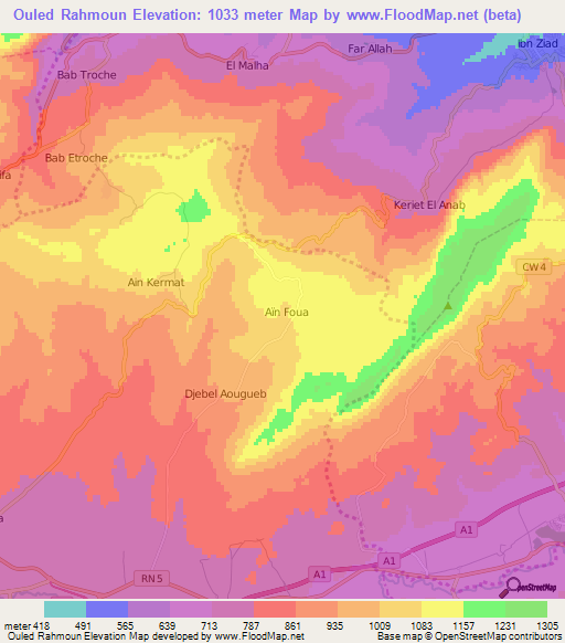 Ouled Rahmoun,Algeria Elevation Map
