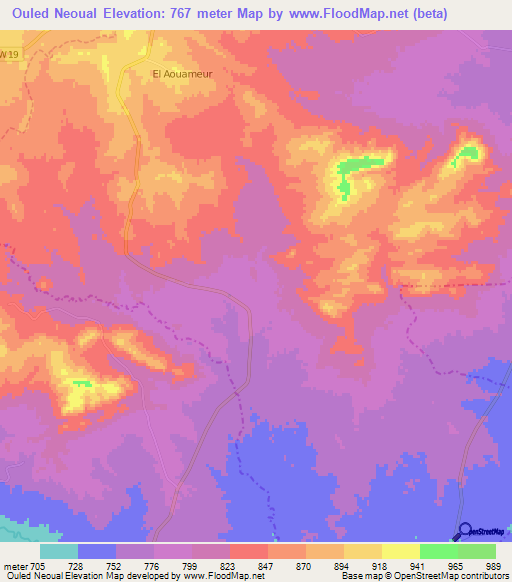 Ouled Neoual,Algeria Elevation Map