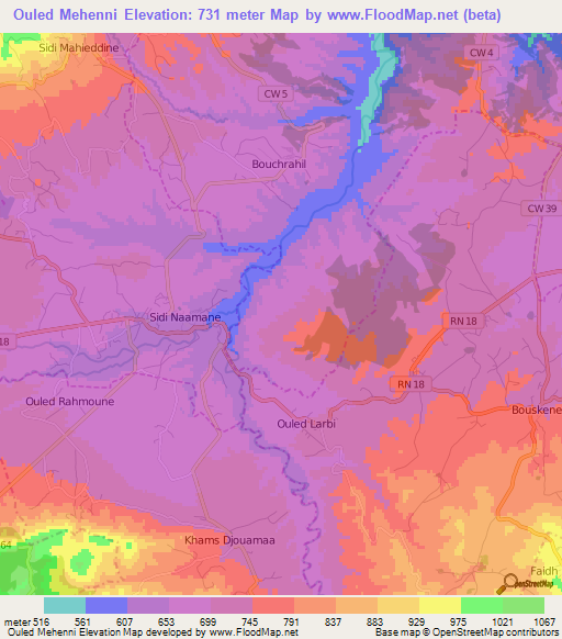 Ouled Mehenni,Algeria Elevation Map