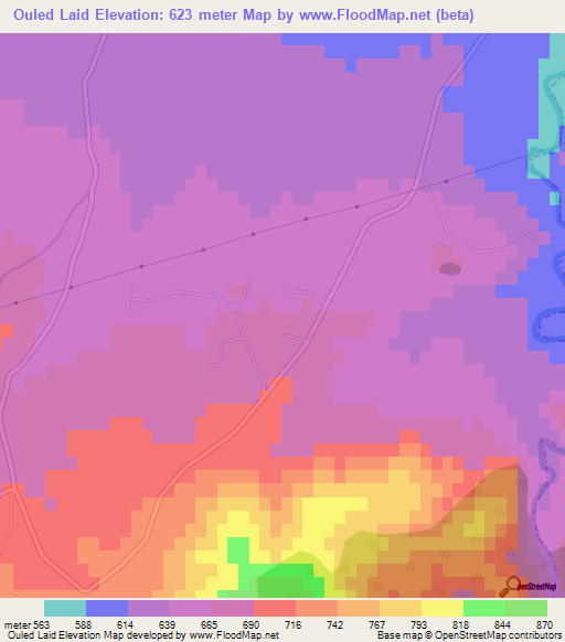 Ouled Laid,Algeria Elevation Map