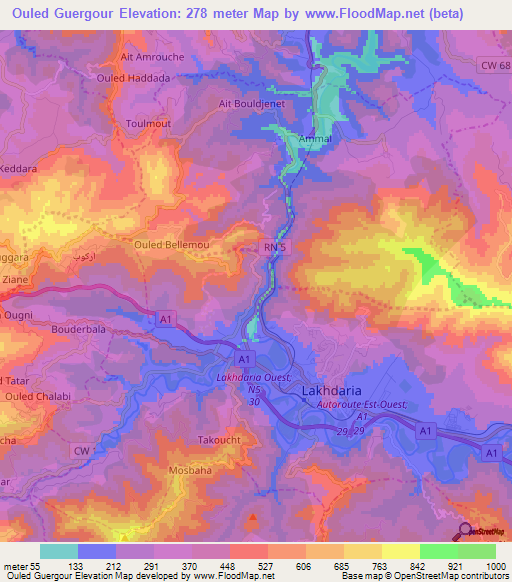 Ouled Guergour,Algeria Elevation Map