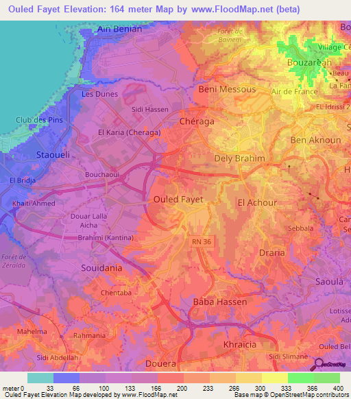 Ouled Fayet,Algeria Elevation Map