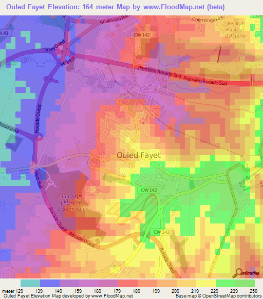 Ouled Fayet,Algeria Elevation Map