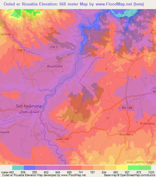 Ouled er Rouabia,Algeria Elevation Map
