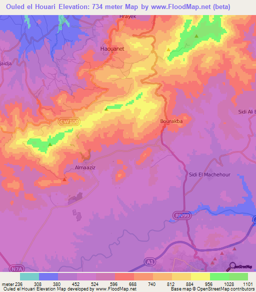 Ouled el Houari,Algeria Elevation Map