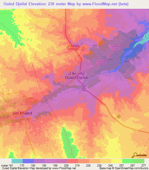 Ouled Djellal,Algeria Elevation Map