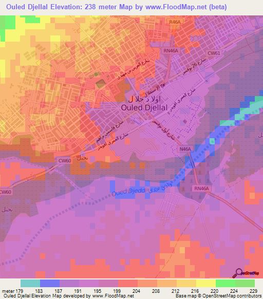 Ouled Djellal,Algeria Elevation Map