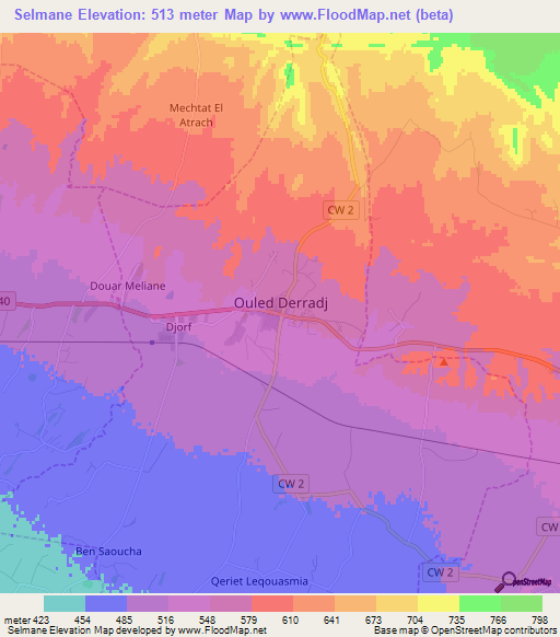 Selmane,Algeria Elevation Map