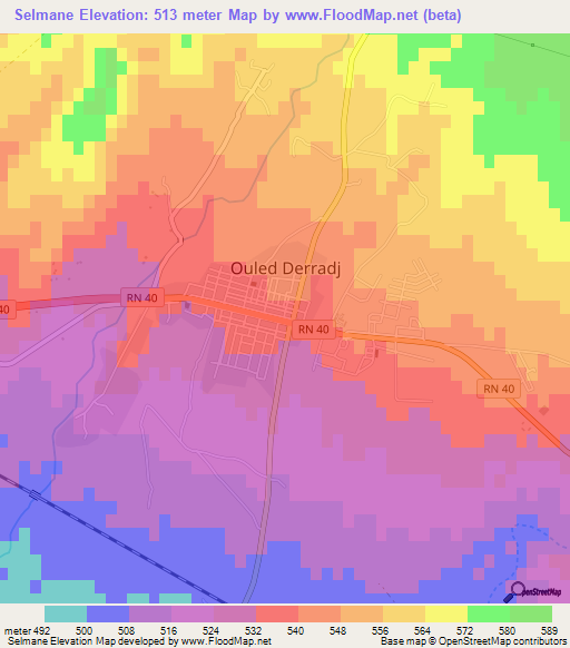Selmane,Algeria Elevation Map