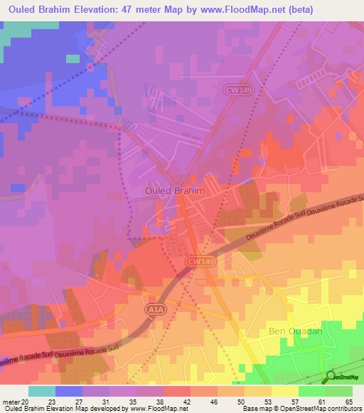 Ouled Brahim,Algeria Elevation Map