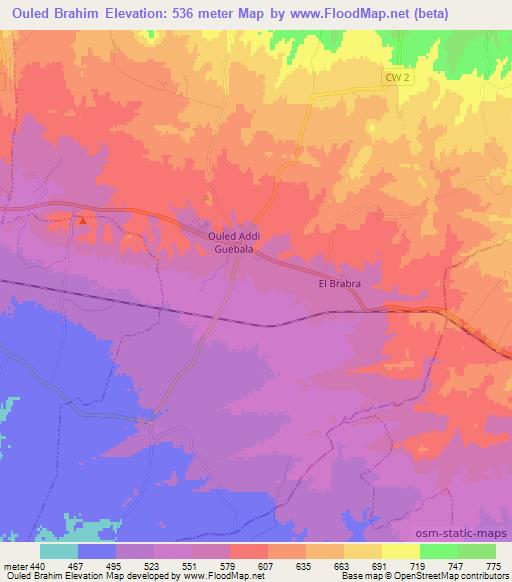 Ouled Brahim,Algeria Elevation Map