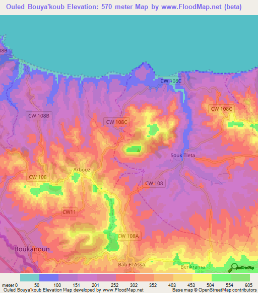 Ouled Bouya'koub,Algeria Elevation Map