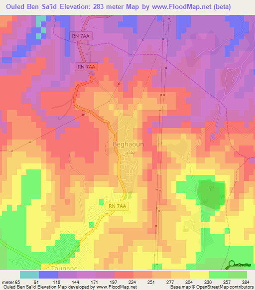 Ouled Ben Sa'id,Algeria Elevation Map