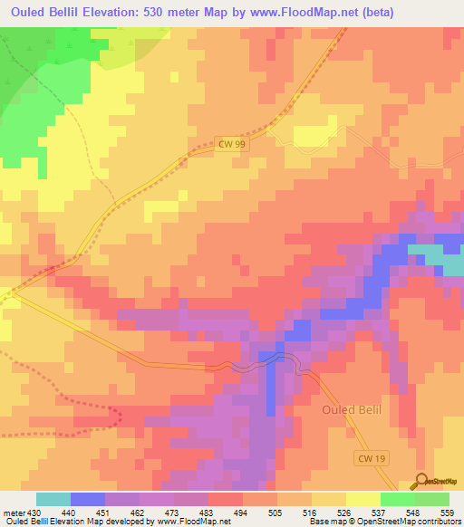 Ouled Bellil,Algeria Elevation Map