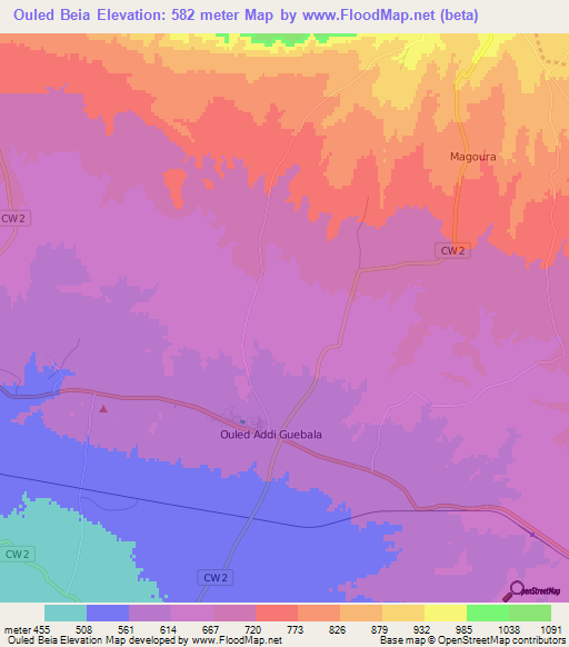 Ouled Beia,Algeria Elevation Map