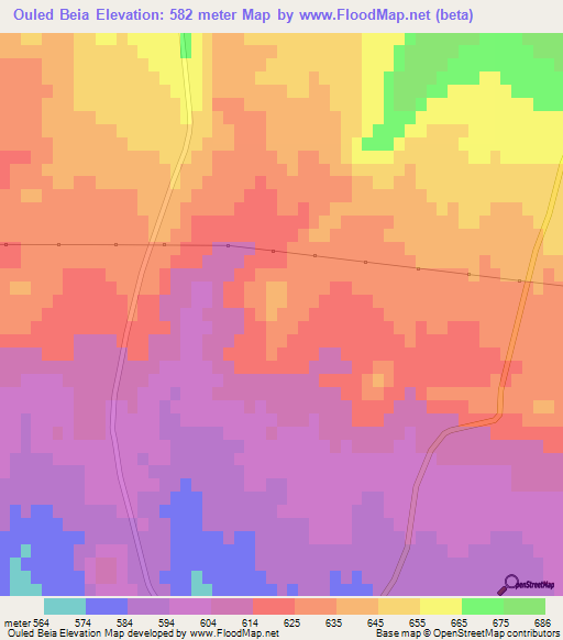 Ouled Beia,Algeria Elevation Map