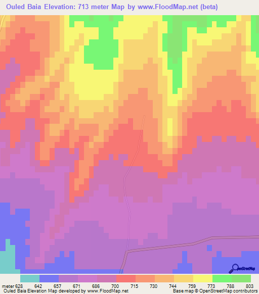 Ouled Baia,Algeria Elevation Map