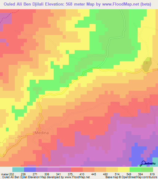 Ouled Ali Ben Djilali,Algeria Elevation Map
