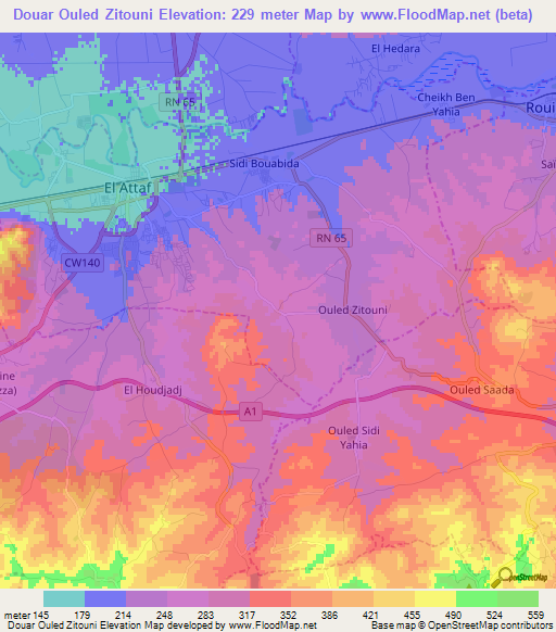 Douar Ouled Zitouni,Algeria Elevation Map