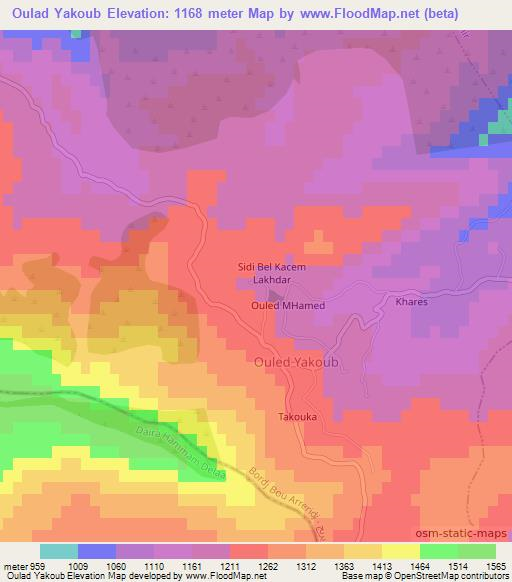 Oulad Yakoub,Algeria Elevation Map