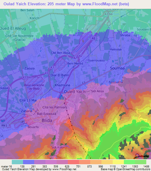 Oulad Yaich,Algeria Elevation Map