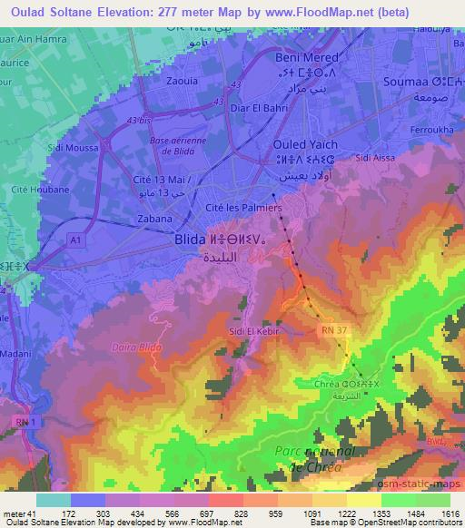 Oulad Soltane,Algeria Elevation Map
