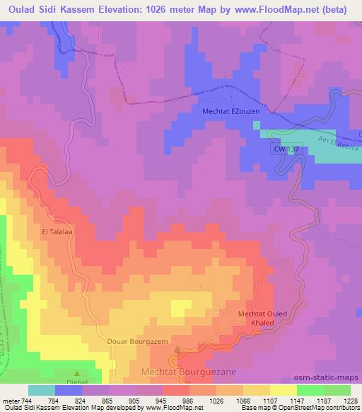 Oulad Sidi Kassem,Algeria Elevation Map