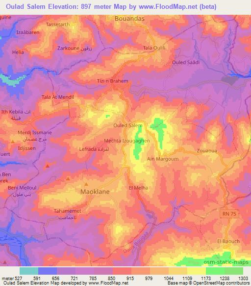 Oulad Salem,Algeria Elevation Map