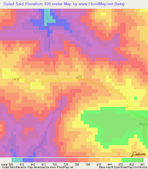 Oulad Said,Algeria Elevation Map