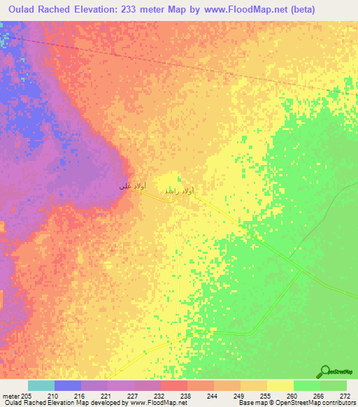 Oulad Rached,Algeria Elevation Map