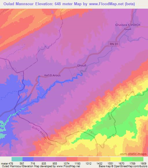 Oulad Mannsour,Algeria Elevation Map
