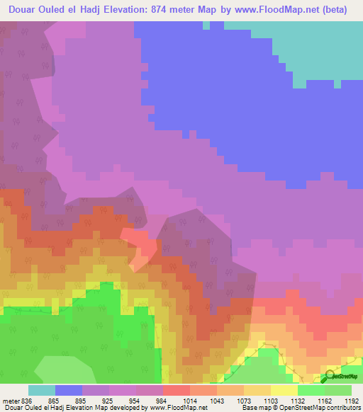 Douar Ouled el Hadj,Algeria Elevation Map