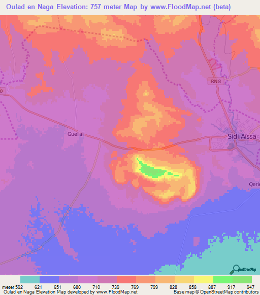 Oulad en Naga,Algeria Elevation Map