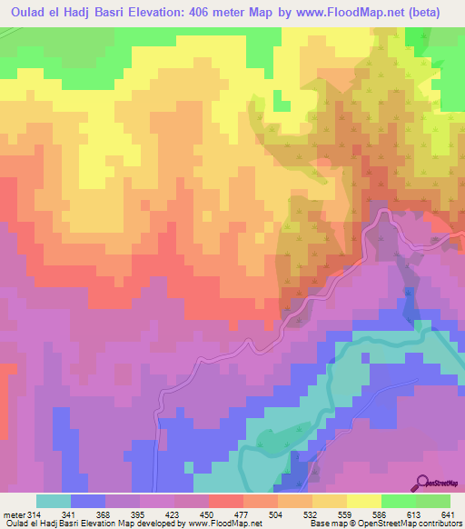 Oulad el Hadj Basri,Algeria Elevation Map