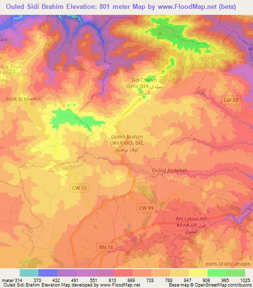 Ouled Sidi Brahim,Algeria Elevation Map