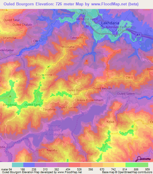 Ouled Bourgorn,Algeria Elevation Map