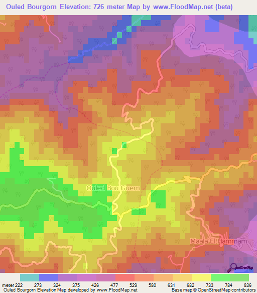 Ouled Bourgorn,Algeria Elevation Map