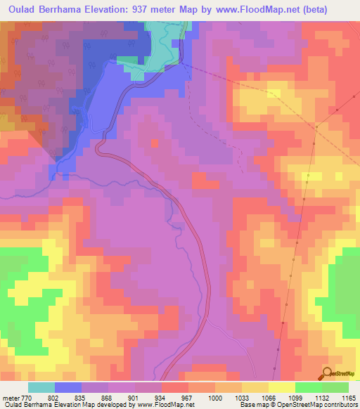 Oulad Berrhama,Algeria Elevation Map