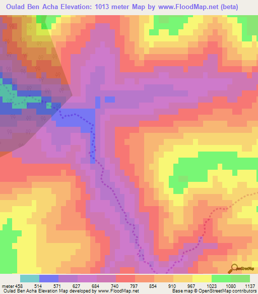Oulad Ben Acha,Algeria Elevation Map