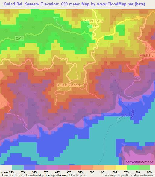 Oulad Bel Kassem,Algeria Elevation Map