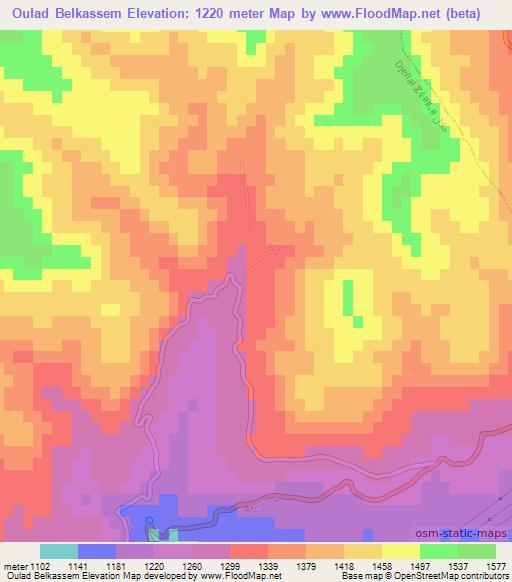 Oulad Belkassem,Algeria Elevation Map