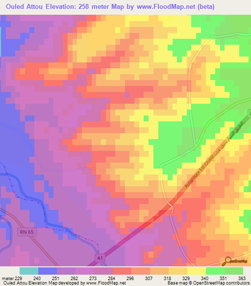 Ouled Attou,Algeria Elevation Map