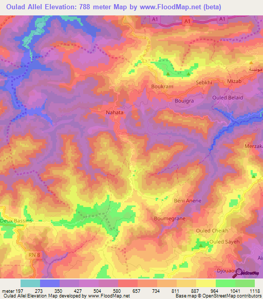 Oulad Allel,Algeria Elevation Map